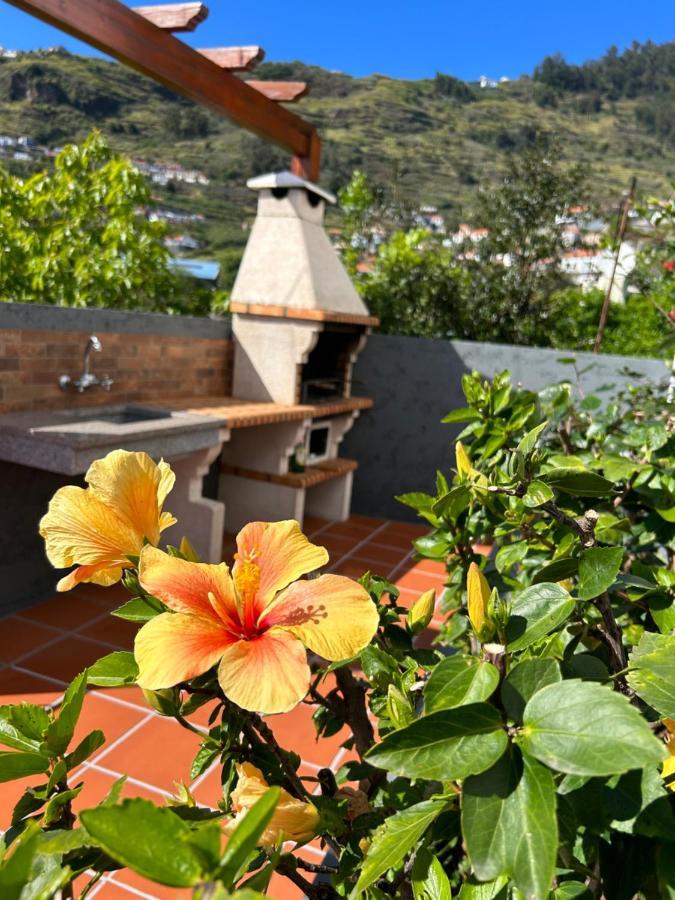 Tropical Garden Villa Arco da Calheta  Buitenkant foto