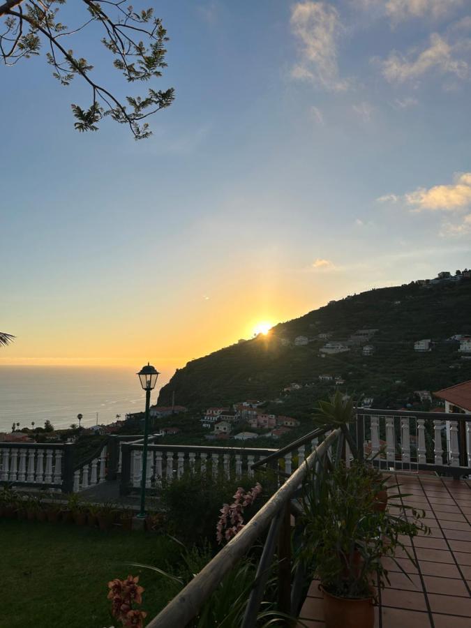 Tropical Garden Villa Arco da Calheta  Buitenkant foto